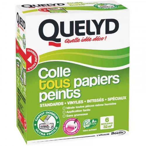 Colle tous papiers peints 300g - Quelyd