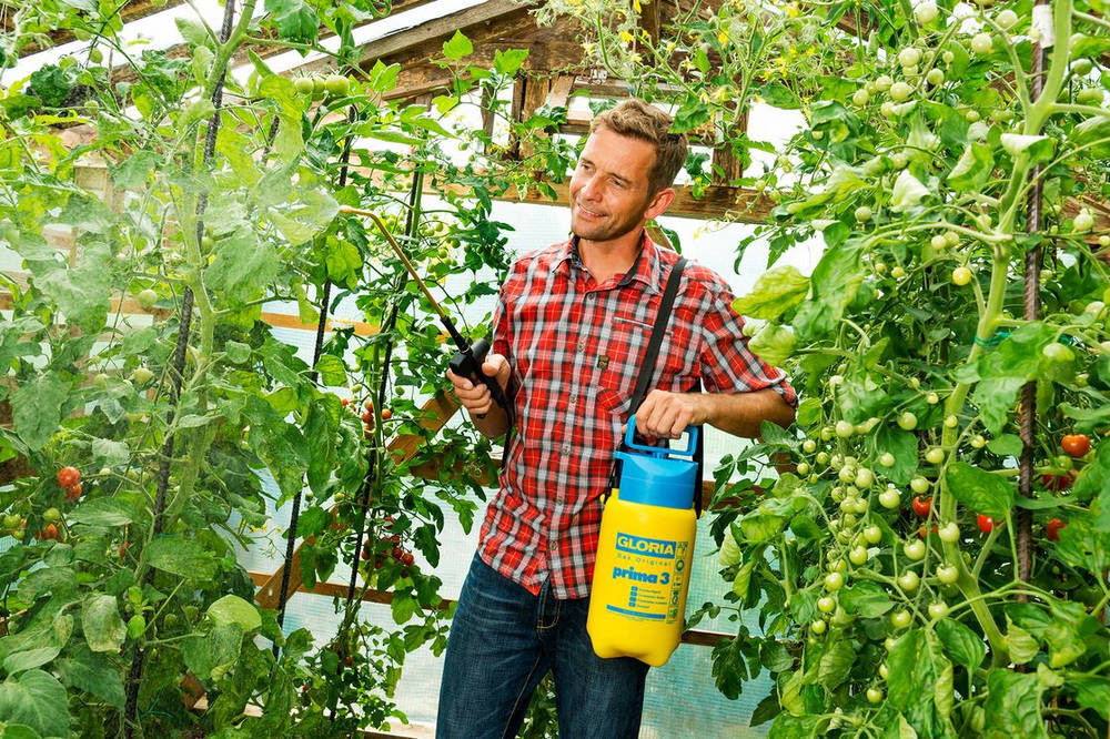 Bretelle Sottili Unisex Olata - Bretelle Elastiche A X Con Clip, Larghezza 2,5cm, Taglia Unica - Foto 11