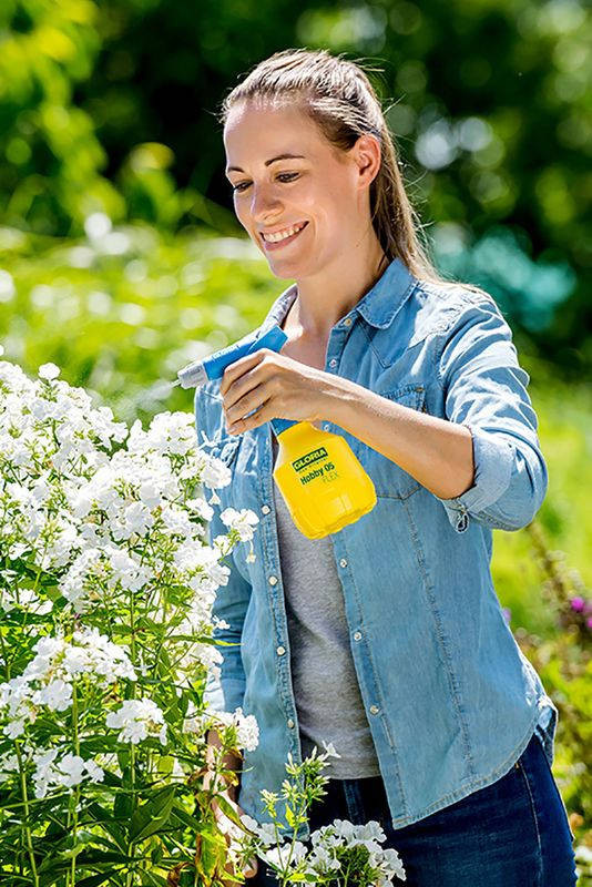 10 Meilleures Offres Springos Pulvérisateur Deau Pour Au France