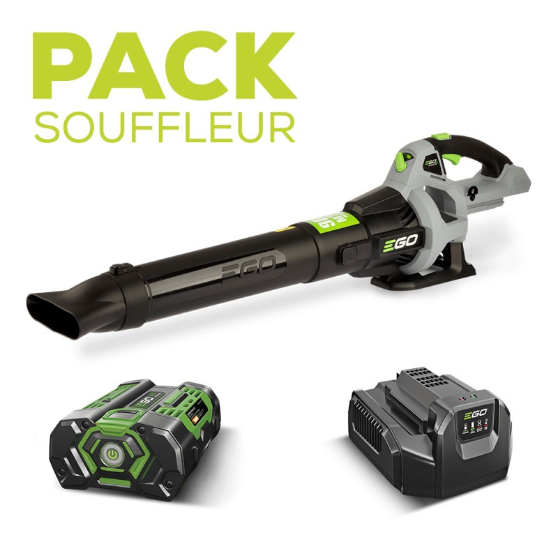 Pack souffleur à batterie EGO LB5301E