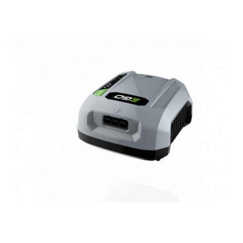 Chargeur professionnel pour batteries à dos BAX1300 et 1500 - EGO