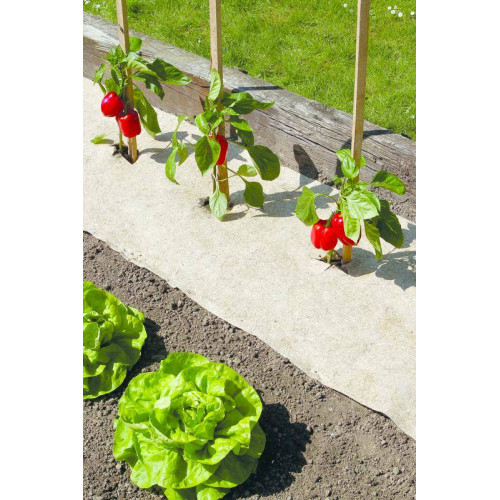 Paillage naturel 75 x 500 cm - pour jardin et potager 100% biodégradable - 500 g/m2 - NORTENE 