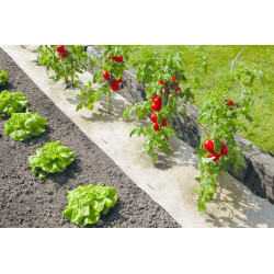 Paillage naturel 50 x 300 cm - pour jardin et potager 100% biodégradable - 500 g/m2 de marque NORTENE , référence: J5305200
