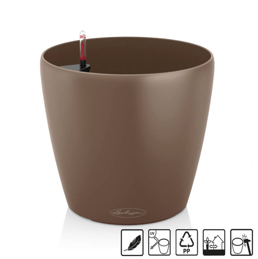 Classico Color 18 - 18x17 cm - kit complet, muscade