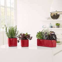 CUBE Glossy Triple - 40x14x14 cm - Kit Complet, rouge scarlet ultra brillant - LECHUZA