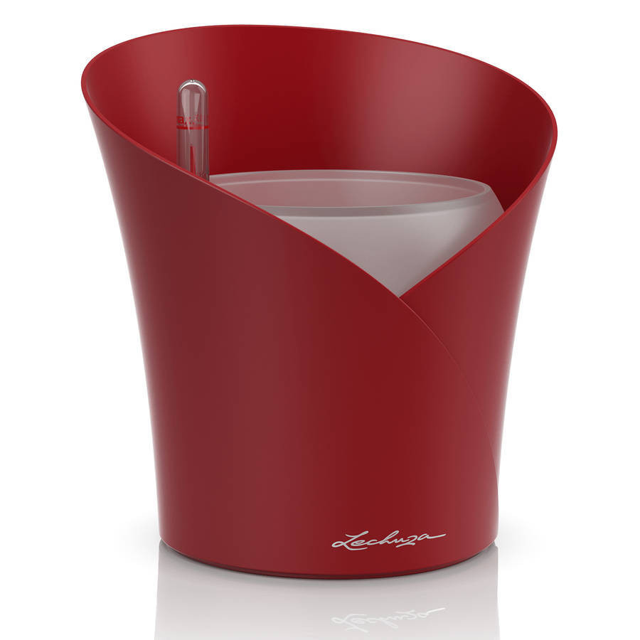 Orchidea - 18x18x20 cm - kit complet, rouge scarlet mat