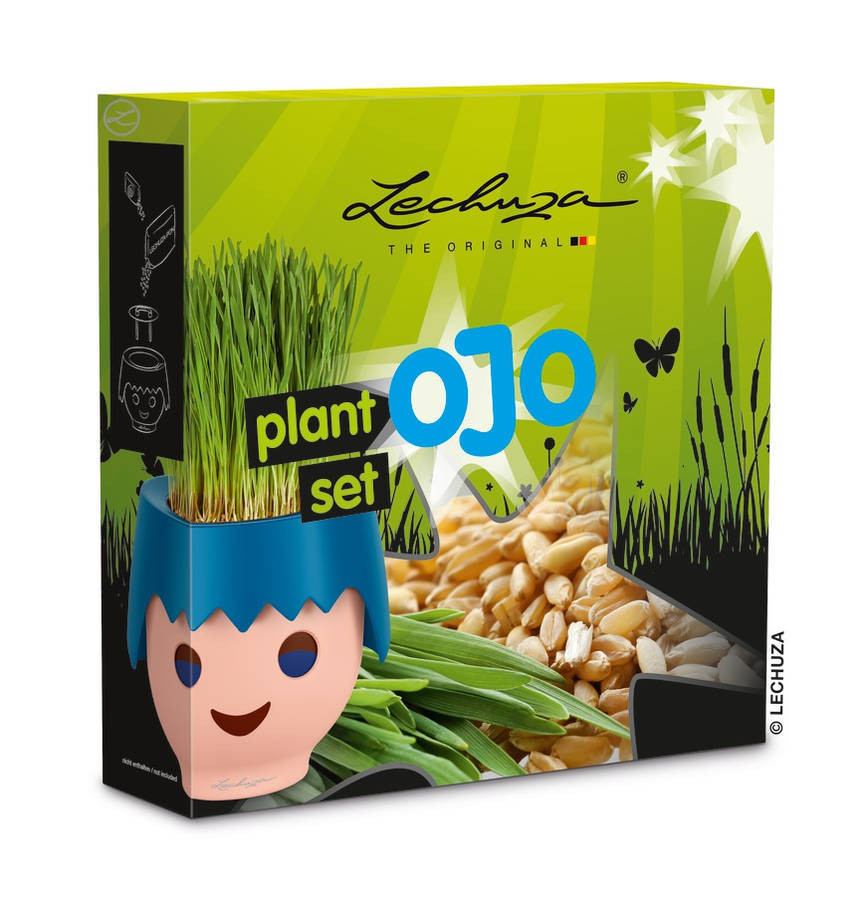 OJO - Set de plantation - 6 × 24 × 24 cm