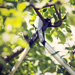 Coupe-branches Powergear X - M à crémaillère et à lame franche 65 cm - Ø 50 mm - FISKARS