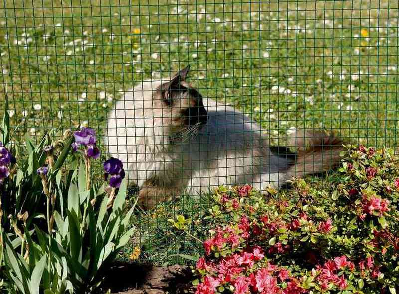 Grillage metal plastifié carré 1,2cm - 1 x 10 m - Vert