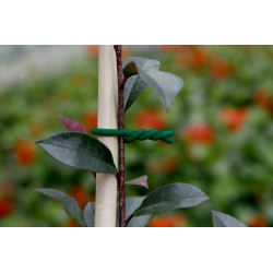 Lien mousse BIFLEX pour plantes fragiles - ø 5 mm de marque NORTENE , référence: J5433600