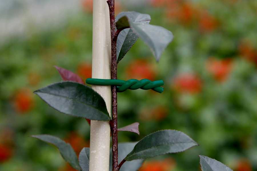 Lien mousse BIFLEX pour plantes fragiles - ø 5 mm