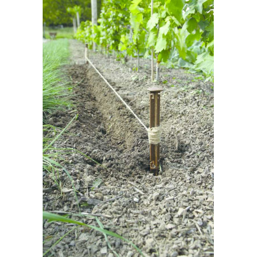 Cordeau de jardin CORDEX FIB - Miscanthus - NORTENE