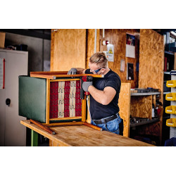 Agrafeuse cloueuse pneumatique TC-PN 50 – 2-en-1 – avec coffret, agrafes et clous - EINHELL 