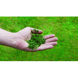 Tondeuse thermique – GC-PM 56/2 S HW – 56 cm – 2,8 kW – 5-en-1 – jusqu’à 2200 m² - EINHELL 