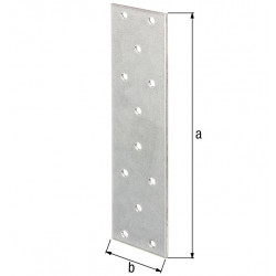 Platine multi-trous galva zinguée sendzimir 200x60x2 de marque GAH ALBERTS, référence: B5528600