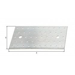 Platine multi-trous galva zinguée sendzimir 200x100x2 de marque GAH ALBERTS, référence: B5529000