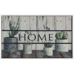 Tapis abrité brossant - halifax cactus - 75x45 cm de marque Coryl, référence: B5552600