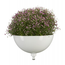 ClickUp! Pot de fleurs