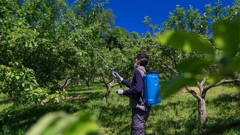 Matabi - GreenCity 2 Sprayer - 1,5L - Lance et Tuyau de 1,3m - Soupape de sécurité - Indicateur de Niveau - Buses interchangeables - Fabriqué en Espagne