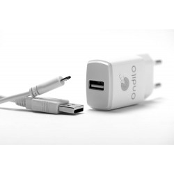 Chargeur pour Batterie 5V USB - Ondilo