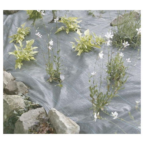 Toile de paillage Weedsol - Vert - 2,10x25m - NORTENE 