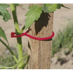 25 clips spécial tomates - Rouge - 6,2cm - NORTENE 