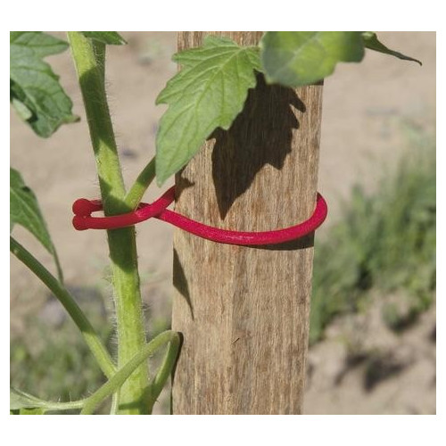 25 clips spécial tomates - Rouge - 6,2cm - NORTENE 