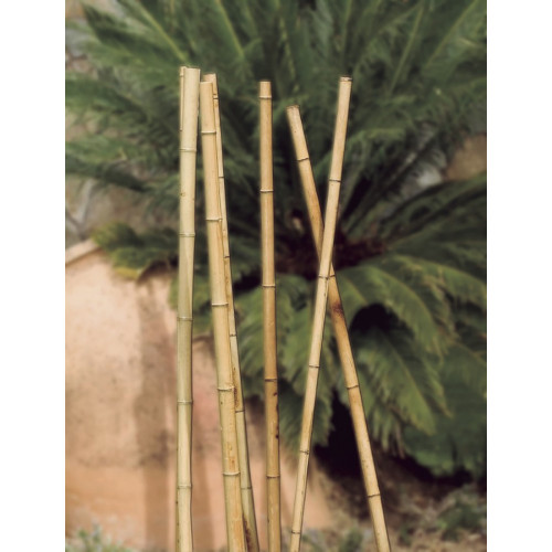 Tuteurs bambou décoratifs - Naturel - diam 100/120 x 2,4m - NORTENE 