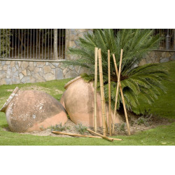 Tuteurs bambou décoratifs - Naturel - diam 100/120 x 2,4m - NORTENE 