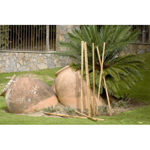 Tuteurs bambou décoratifs - Naturel - diam 100/120 x 2,4m - NORTENE 