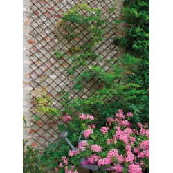 Treillis en osier naturel pelé Wick Trellis - Naturel  - 1 x 2m - NORTENE 