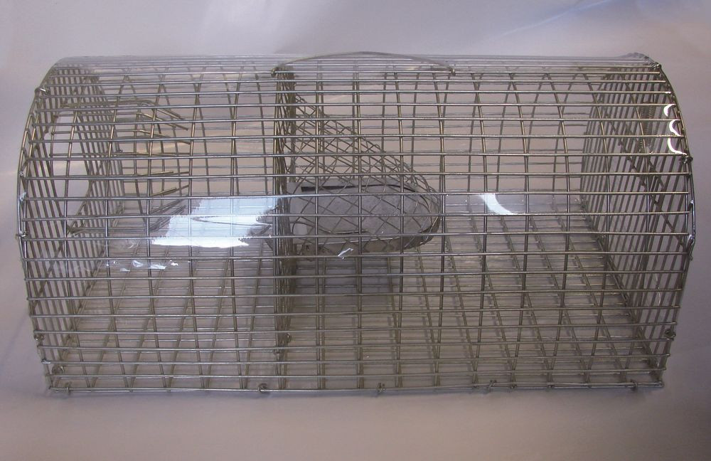 Nasse A Rats Multiprises