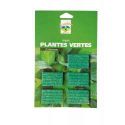 Engrais Batonnet Plantes Vertes - 1 KG - Engrais de Longueil