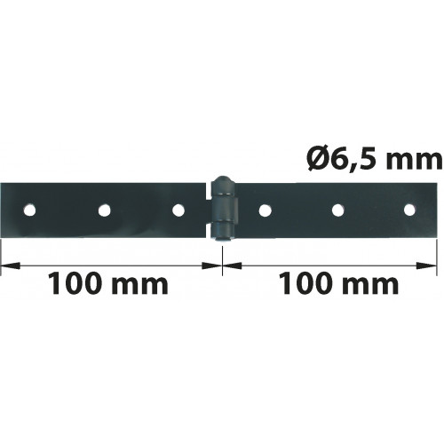 Charnière forte acier pour volets battants, L.40 x l.100 mm - AFBAT