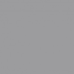 Bande d'étanchéité Adhésive ripolin, 10 m x 10 cm, gris - RIPOLIN