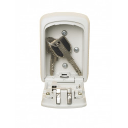 Minicoffre MASTER LOCK Select access à fixer, H.11.8 x l.8.3 x P.3.4 cm - MASTER LOCK
