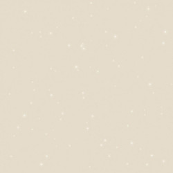 Peinture à effet, Paillett', beige hollywood, 2 l - ID
