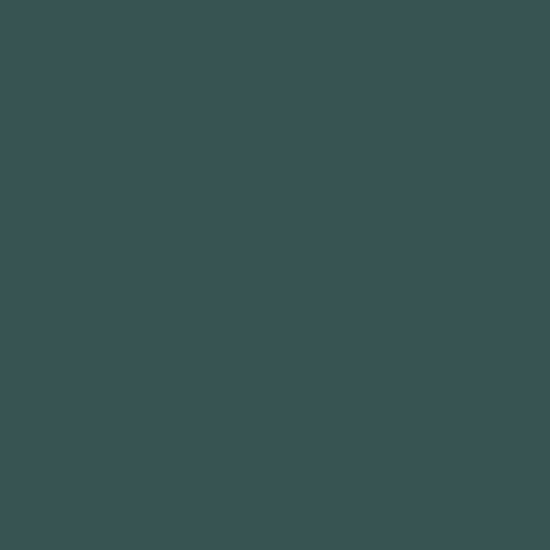 Peinture bois extérieur Couleurs d'ici® V33, vert profond velours 0.5 l - V33