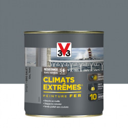 Peinture fer extérieur Climats extrêmes® V33 gris galet brillant 0.5 l - V33