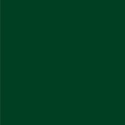 Peinture fer extérieur Direct sur rouille HAMMERITE vert buisson brillant 0.75 l - HAMMERITE