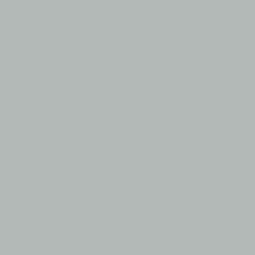 Peinture laque boiserie Valénite gris alpaga satiné 0,5 L - DULUX VALENTINE - DULUX VALENTINE