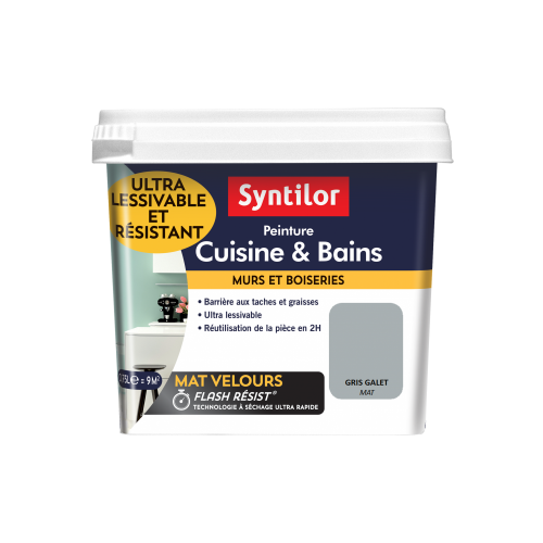 Peinture mur Cuisine et bains SYNTILOR gris galet mat 0.75 l - SYNTILOR