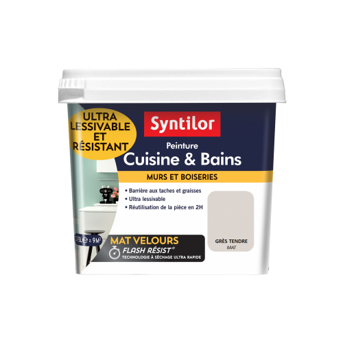 Peinture mur SYNTILOR grès tendre mat 0.75 l - SYNTILOR
