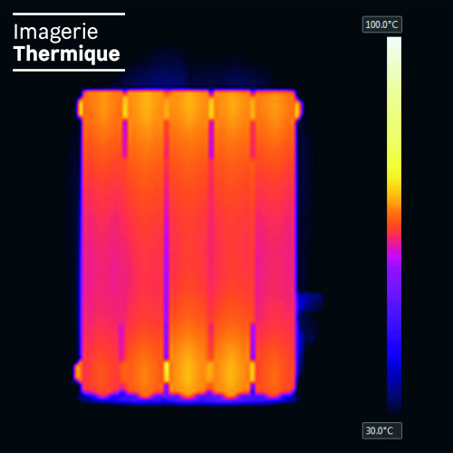 Radiateur électrique à inertie fluide 900 W DELTACALOR Telica cintré horizontal - DELTACALOR