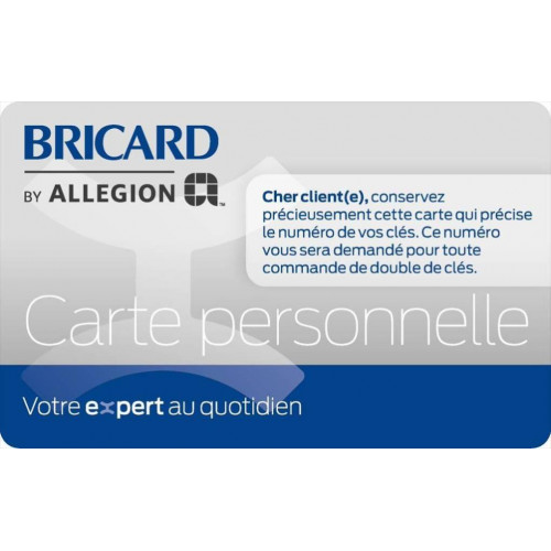 Serrure en applique multipoint BRICARD, poignée à droite, axe 50 mm - BRICARD