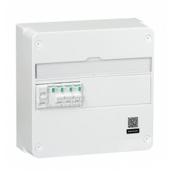 Tableau électrique équipé et précâblé SCHNEIDER ELECTRIC 1 rangée 13 modules de marque SCHNEIDER ELECTRIC, référence: B6115600