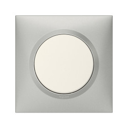 Plaque simple Dooxie, LEGRAND, aluminium - LEGRAND