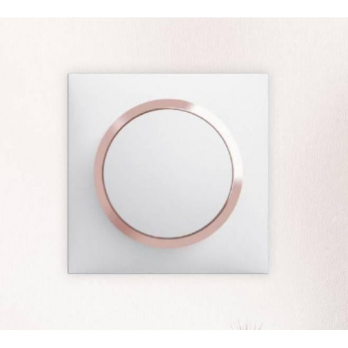 Plaque simple Dooxie, LEGRAND, blanc rose - LEGRAND