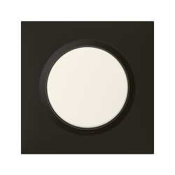 Plaque simple Dooxie, LEGRAND, noir velours de marque LEGRAND, référence: B6246700