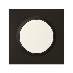 Plaque simple Dooxie, LEGRAND, noir velours - LEGRAND